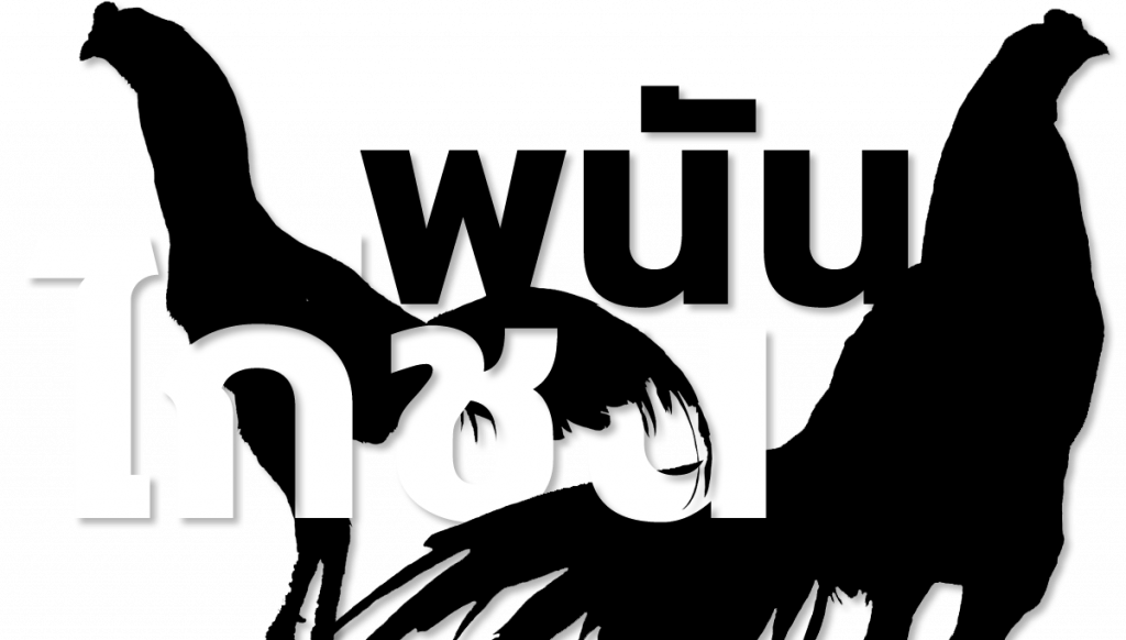 วิธีพนันไก่ชนออนไลน์ บนเว็บ DUCKBET